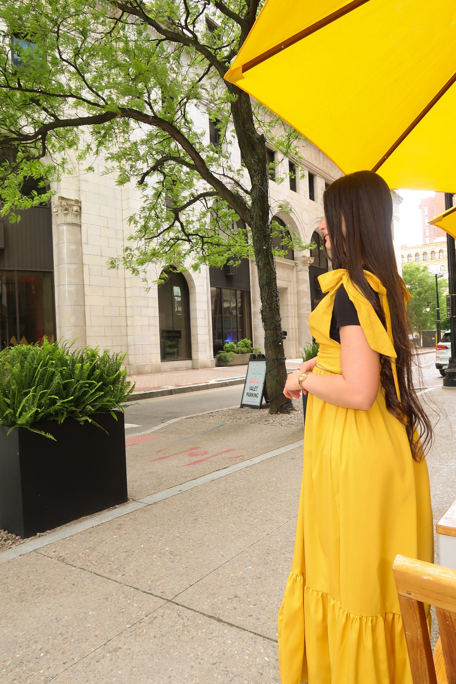 SERENE DRESS
